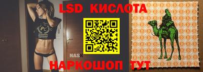 PSILOCYBIN Кулебаки