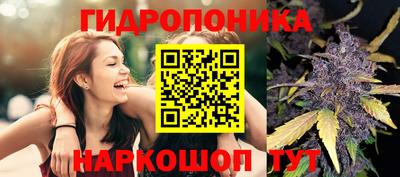 PSILOCYBIN Кулебаки