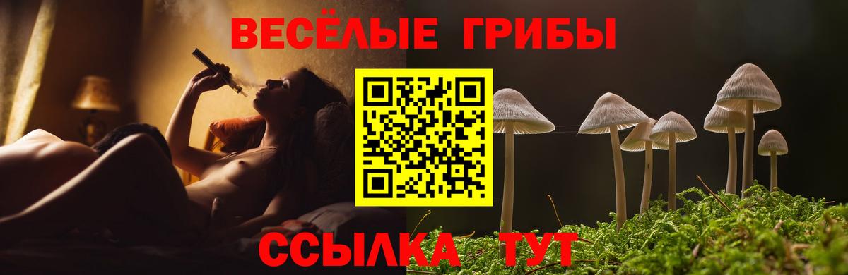 закладки  Галлюциногенные грибы Cubensis  Вход с VPN  Черняховск  Псилоцибиновые грибы мухоморы 